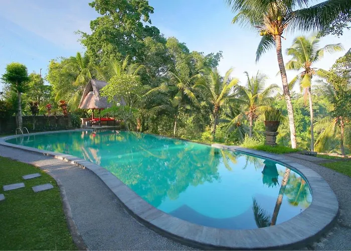 Bucu View 4*