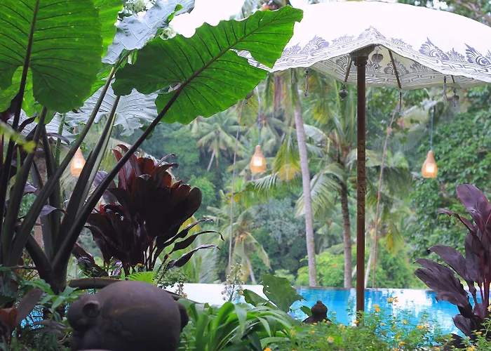 酒店 Bucu View