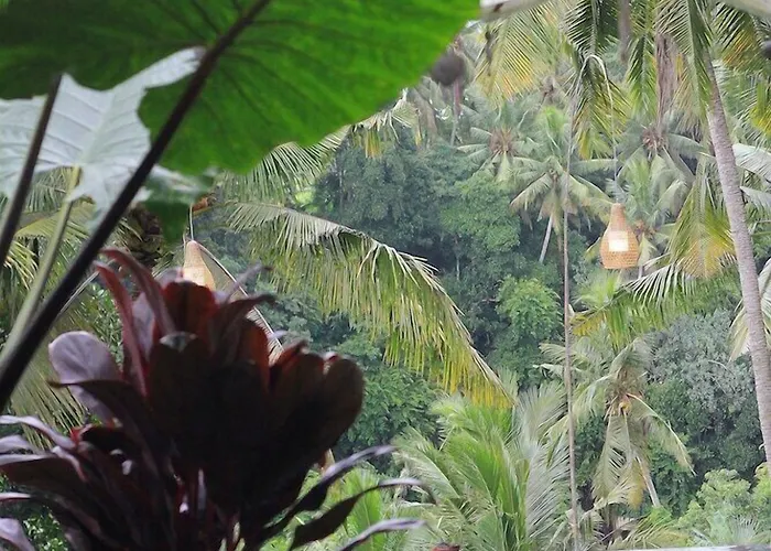 Hotel Bucu View Resort 4*